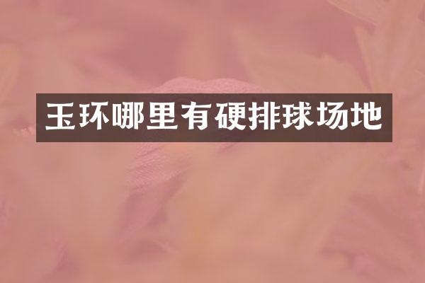 玉环哪里有硬排球场地