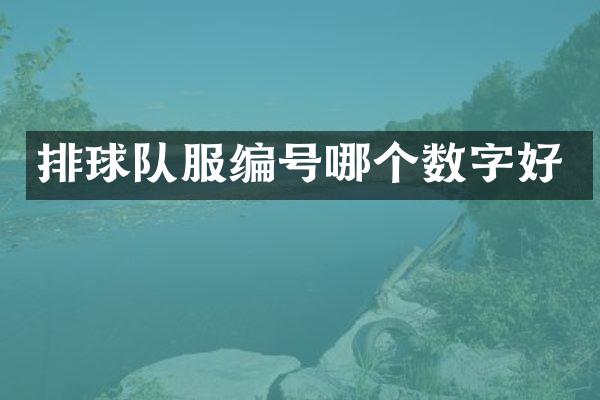 排球队服编号哪个数字好