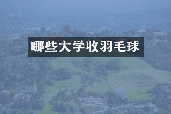 哪些大学收羽毛球