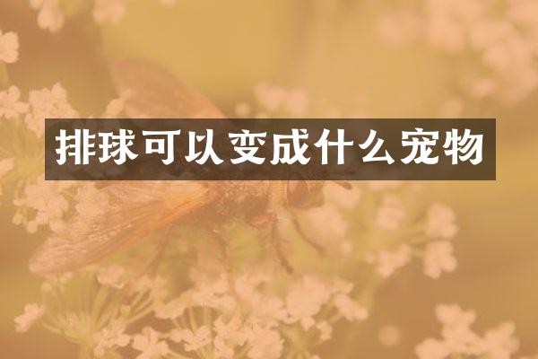 排球可以变成什么宠物