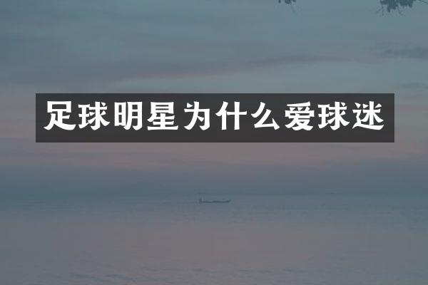 足球明星为什么爱球迷