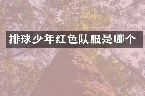 排球少年红色队服是哪个