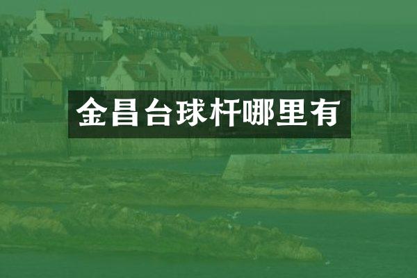 金昌台球杆哪里有