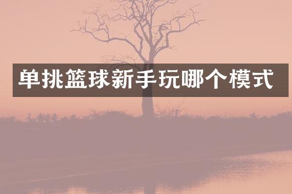 单挑篮球新手玩哪个模式