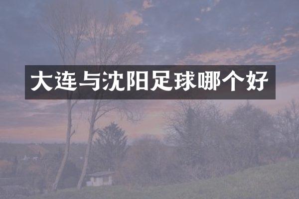 大连与沈阳足球哪个好