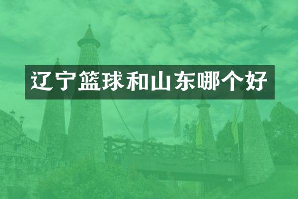 辽宁篮球和山东哪个好