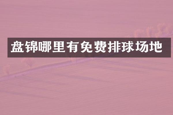 盘锦哪里有免费排球场地