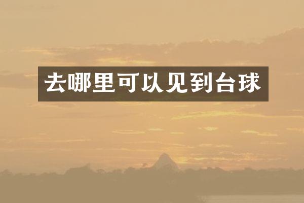 去哪里可以见到台球