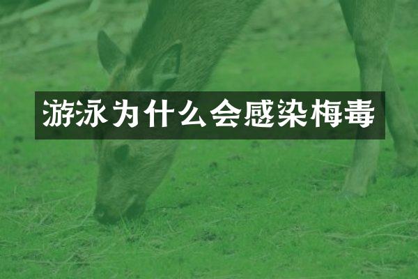 游泳为什么会感染梅毒
