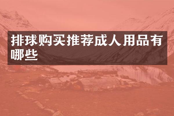 排球购买推荐成人用品有哪些