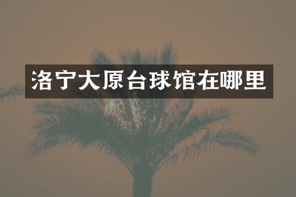 洛宁大原台球馆在哪里