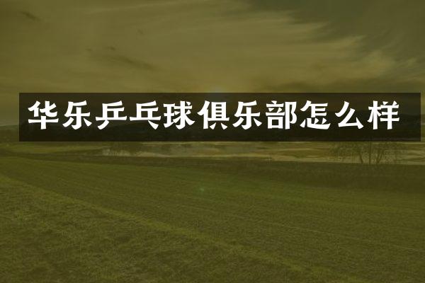 华乐乒乓球俱乐部怎么样