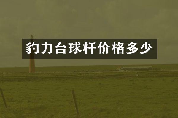 豹力台球杆价格多少