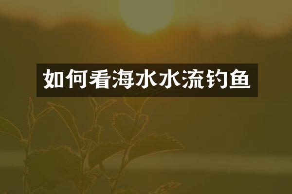 如何看海水水流钓鱼