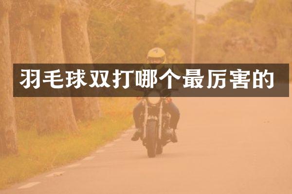 羽毛球双打哪个最厉害的