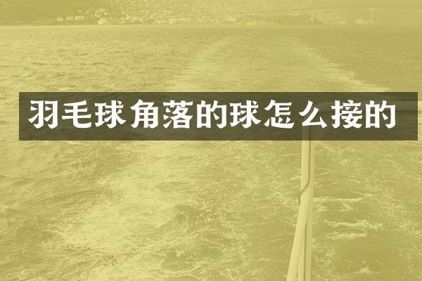 羽毛球角落的球怎么接的