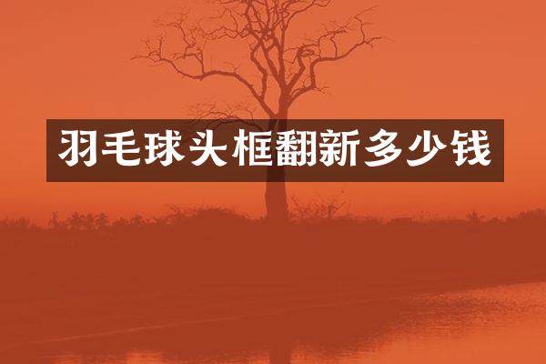羽毛球头框翻新多少钱
