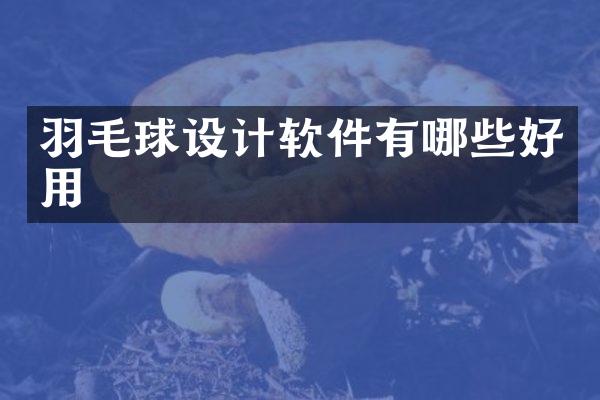 羽毛球设计软件有哪些好用