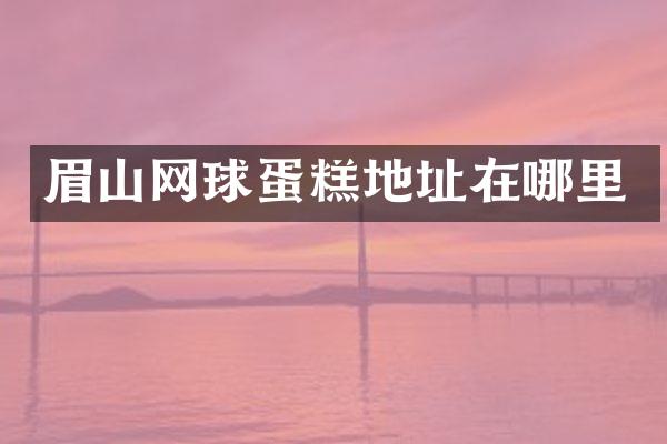 眉山网球蛋糕地址在哪里