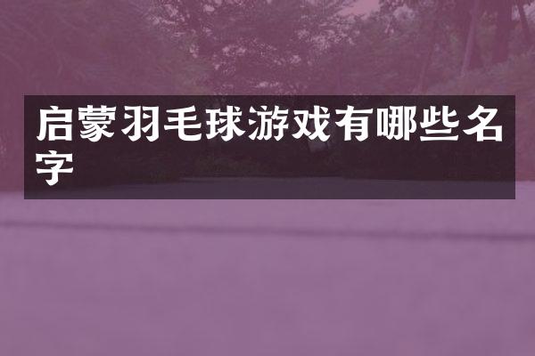 启蒙羽毛球游戏有哪些名字