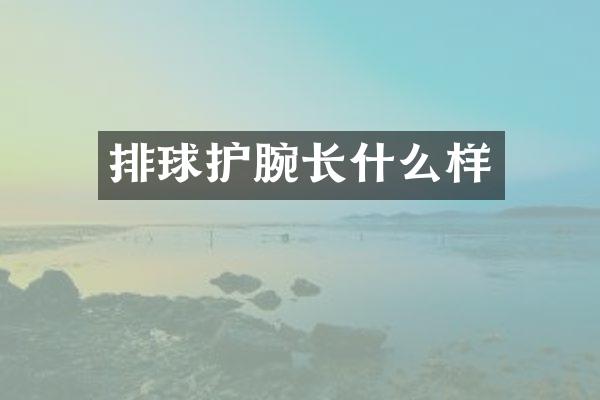排球护腕长什么样