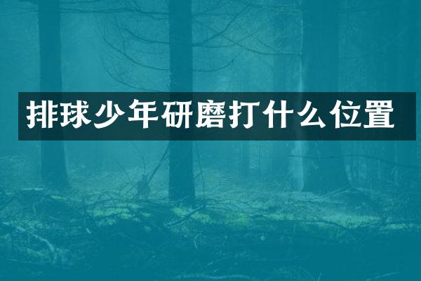 排球少年研磨打什么位置
