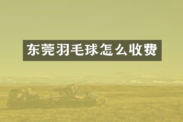 东莞羽毛球怎么收费