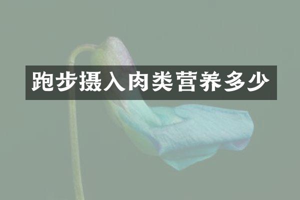 跑步摄入肉类营养多少