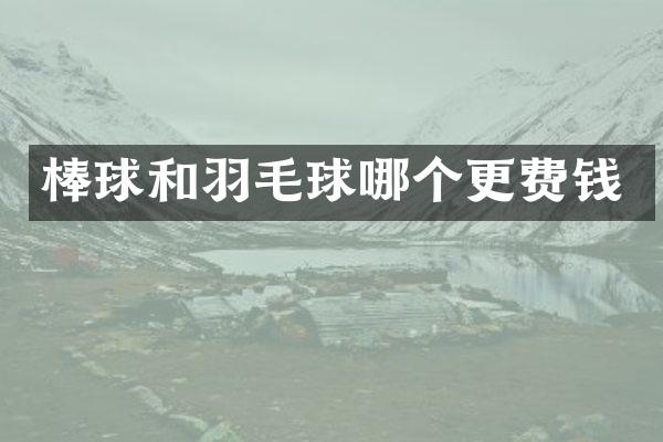 棒球和羽毛球哪个更费钱