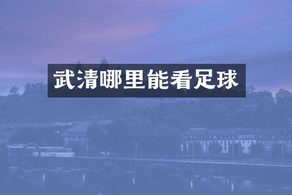 武清哪里能看足球