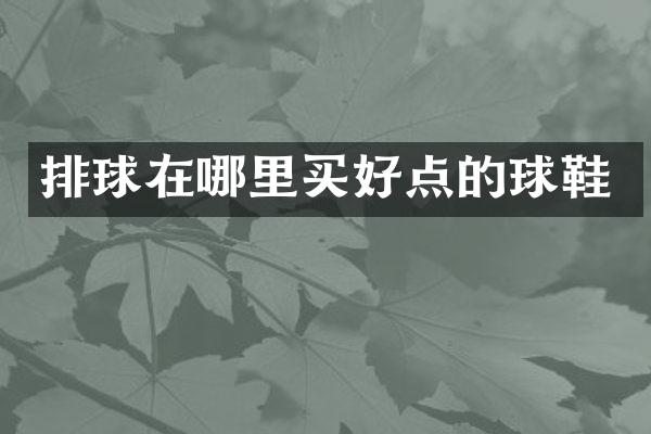 排球在哪里买好点的球鞋