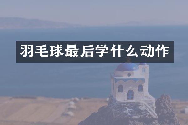 羽毛球最后学什么动作