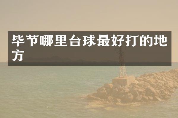 毕节哪里台球最好打的地方