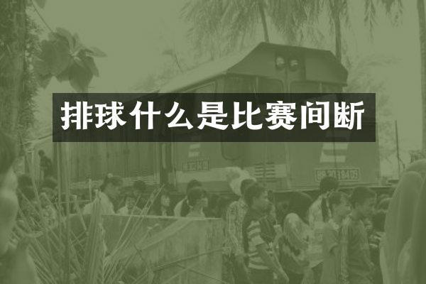 排球什么是比赛间断