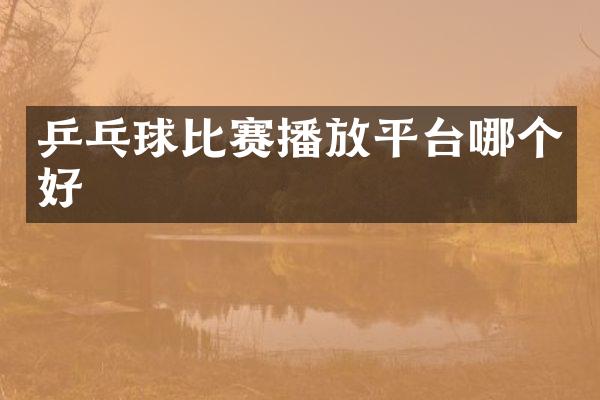 乒乓球比赛播放平台哪个好