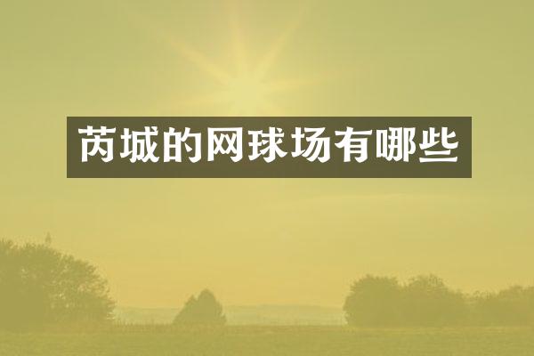芮城的网球场有哪些