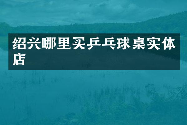 绍兴哪里买乒乓球桌实体店