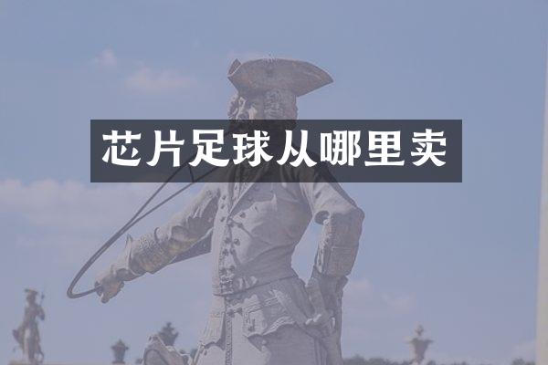 芯片足球从哪里卖