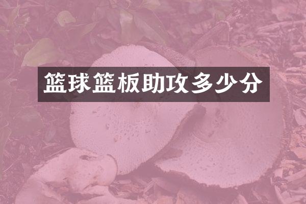 篮球篮板助攻多少分