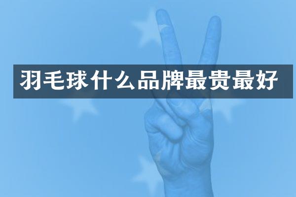 羽毛球什么品牌最贵最好