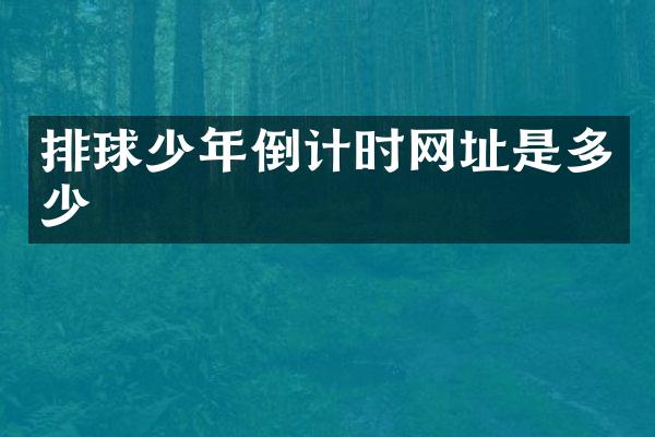 排球少年倒计时网址是多少