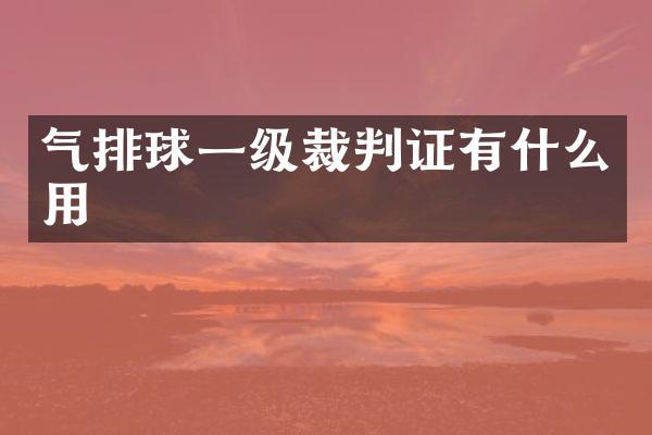 气排球一级裁判证有什么用