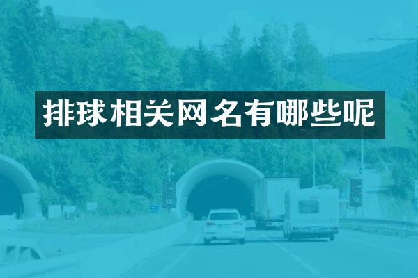 排球相关网名有哪些呢