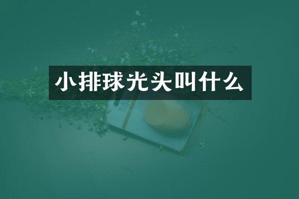 小排球光头叫什么