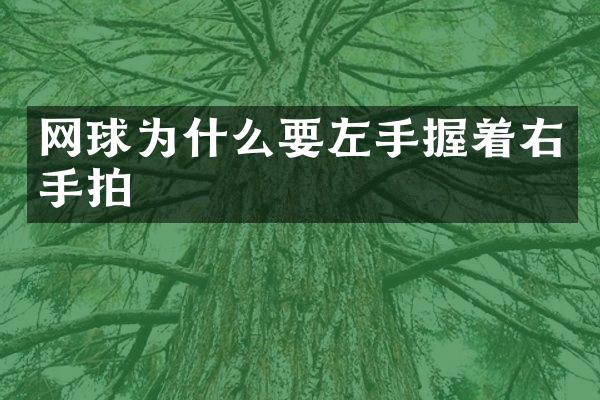 网球为什么要左手握着右手拍