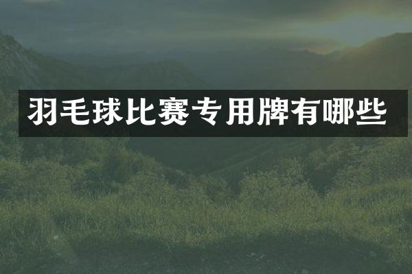 羽毛球比赛专用牌有哪些