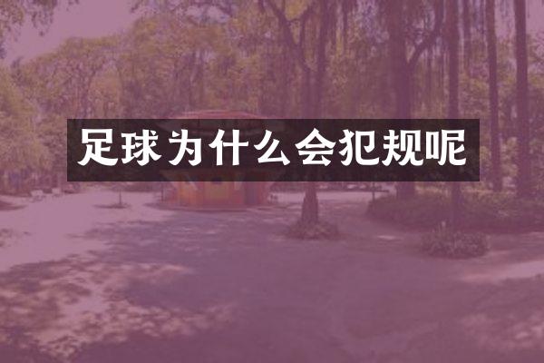 足球为什么会犯规呢