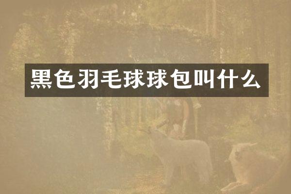黑色羽毛球球包叫什么