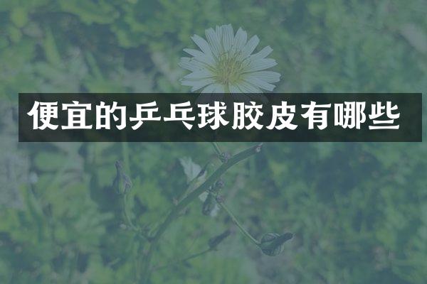 便宜的乒乓球胶皮有哪些