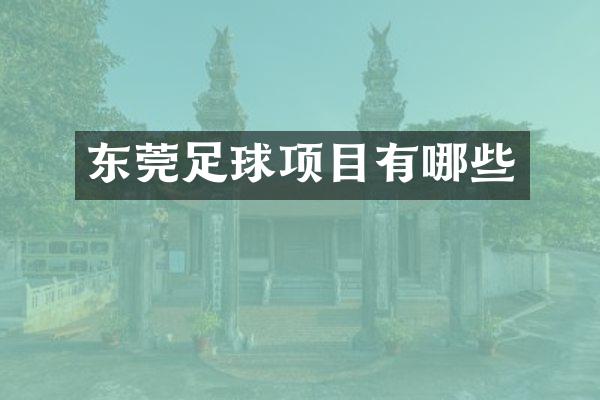 东莞足球项目有哪些